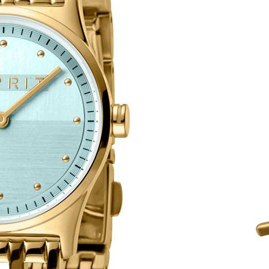 Esprit Ladies Watches ES1L031M0045 2