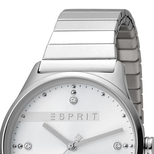 Esprit Ladies Watches ES1L032E0055 3