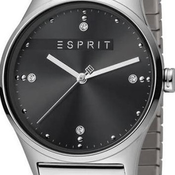 Esprit Ladies Watches ES1L032E0065 2