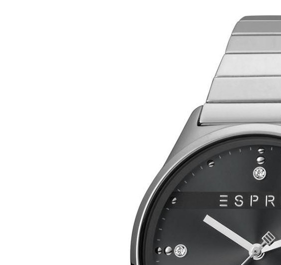 Esprit Ladies Watches ES1L032E0105 4