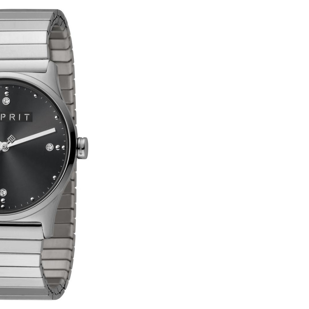 Esprit Ladies Watches ES1L032E0105 6