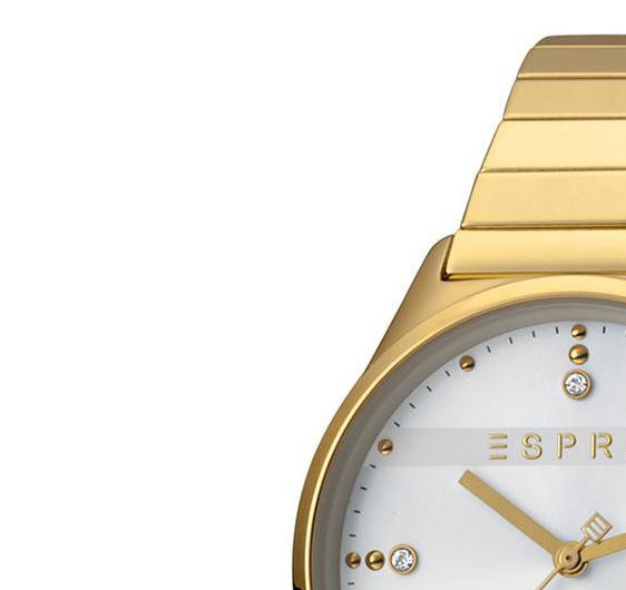 Esprit Ladies Watches ES1L032E0115 4