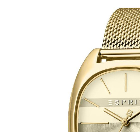 Esprit Ladies Watches ES1L038M0095 4