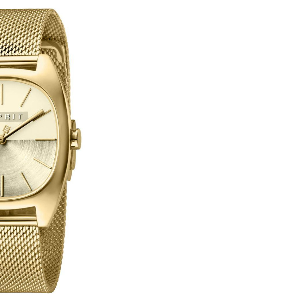 Esprit Ladies Watches ES1L038M0095 6