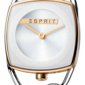 Esprit Ladies Watches ES1L042M0045 2