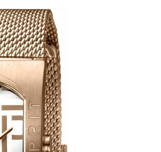 Esprit Ladies Watches ES1L046M0045 5