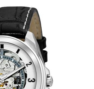 Festina Automatik 67441 5