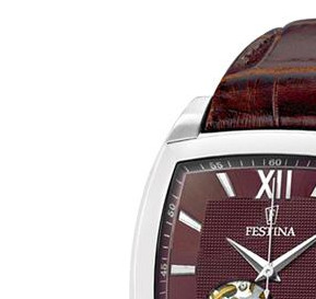 Festina Automatik 67533 4