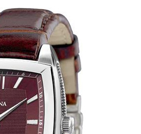 Festina Automatik 67533 5