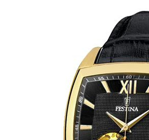 Festina Automatik 67542 4