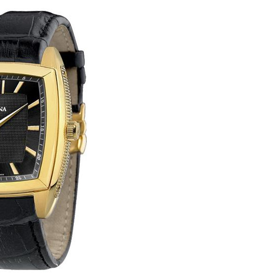 Festina Automatik 67542 6