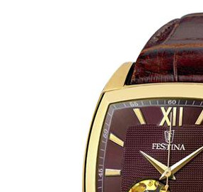 Festina Automatik 67543 4