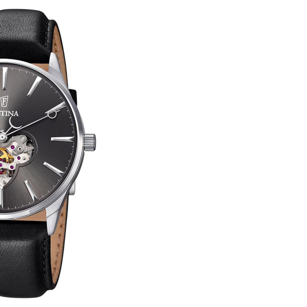 Festina Automatik F68462 6