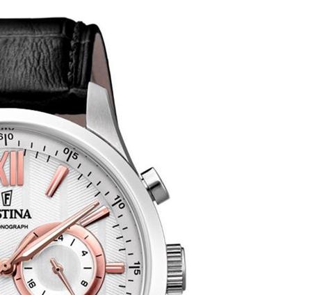 Festina CHRONOGRAPH f169961 5