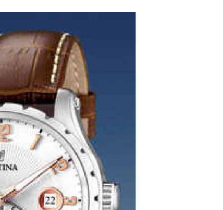 Festina CLASSIC F164863 5