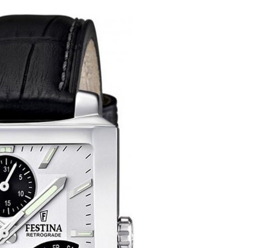 Festina CLASSIC F166311 5