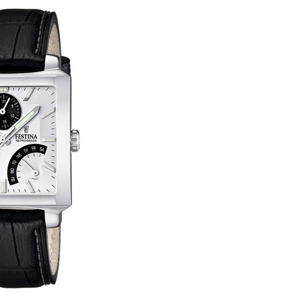 Festina CLASSIC F166311 6