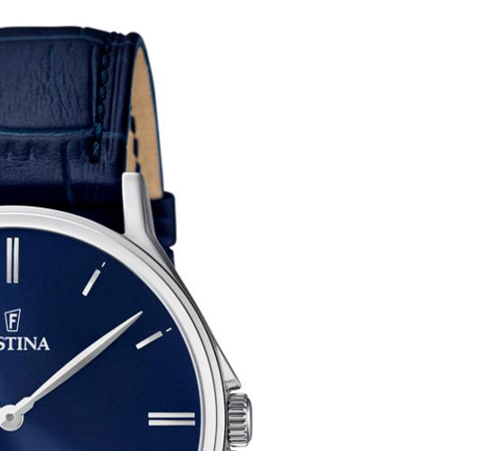 Festina CLASSIC F167453 5