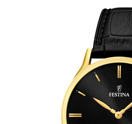 Festina CLASSIC F167474 4