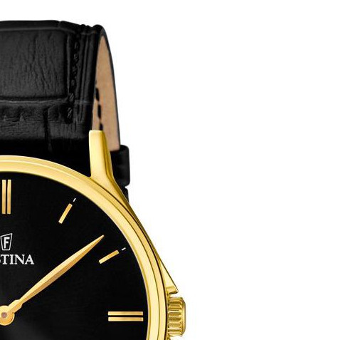 Festina CLASSIC F167474 5