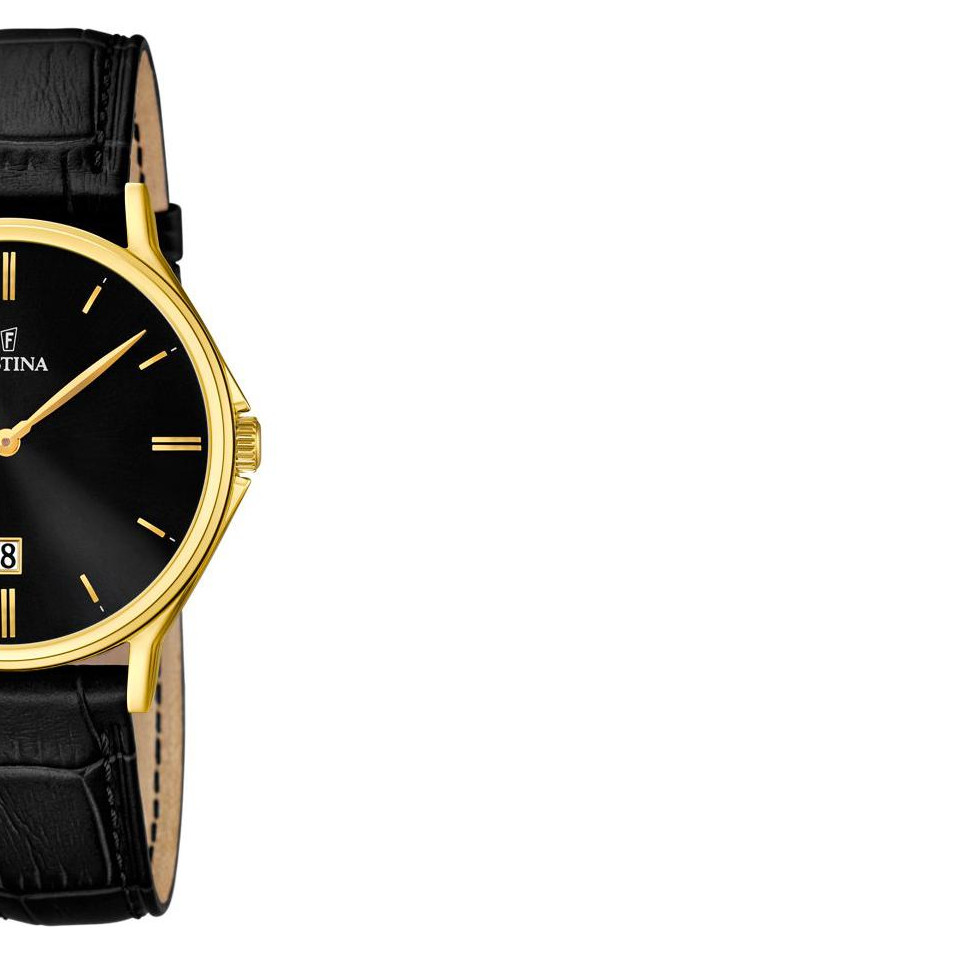 Festina CLASSIC F167474 6