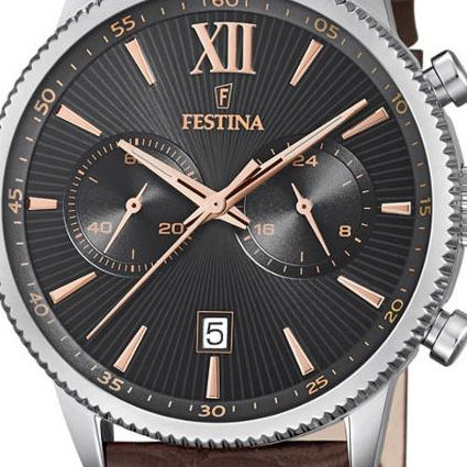 Festina CLASSIC F16893B 2