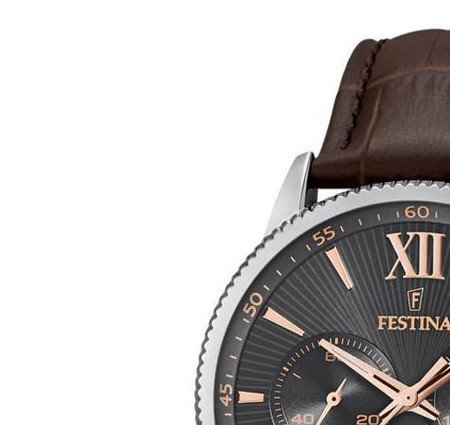 Festina CLASSIC F16893B 4