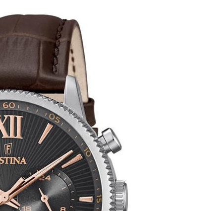 Festina CLASSIC F16893B 5