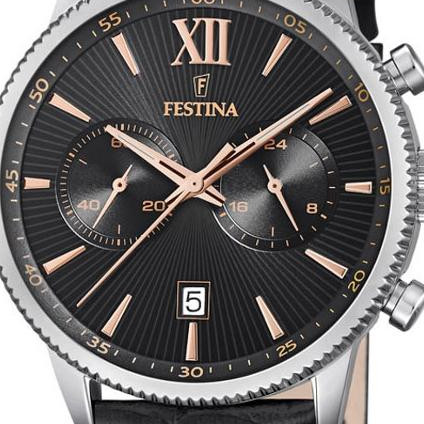 Festina CLASSIC F16893C 2
