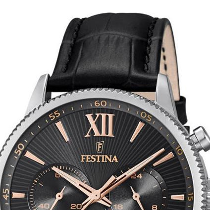 Festina CLASSIC F16893C 3