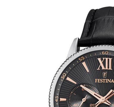 Festina CLASSIC F16893C 4