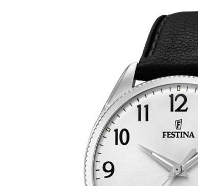Festina CLASSIC F169771 4