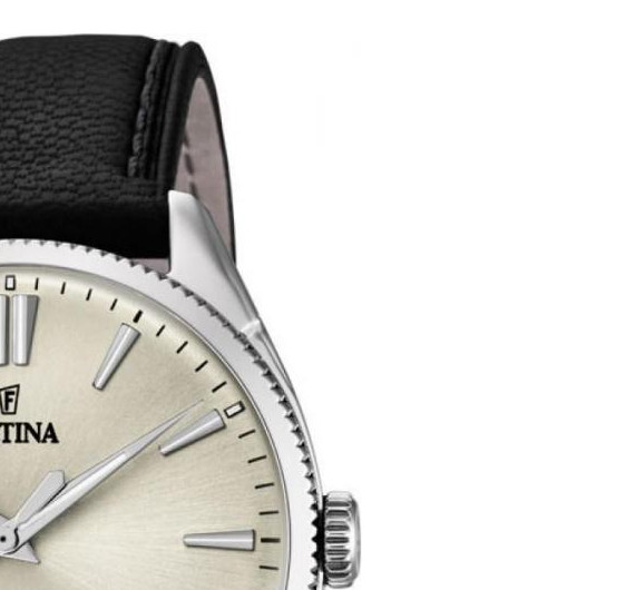 Festina CLASSIC F169773 5