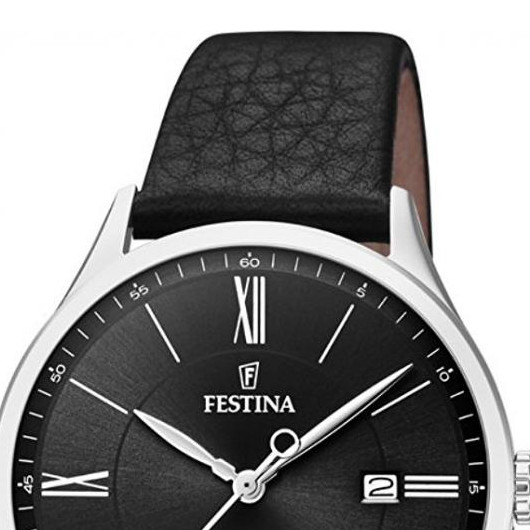 Festina CLASSIC F169784 3