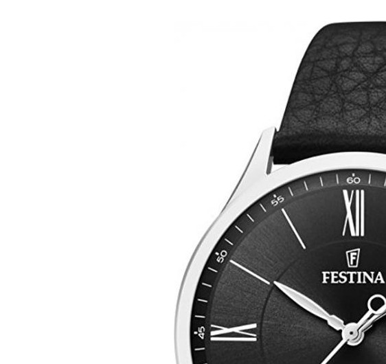 Festina CLASSIC F169784 4