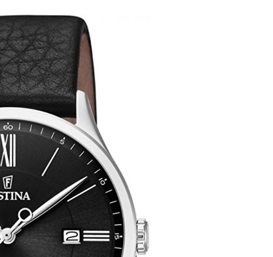 Festina CLASSIC F169784 5