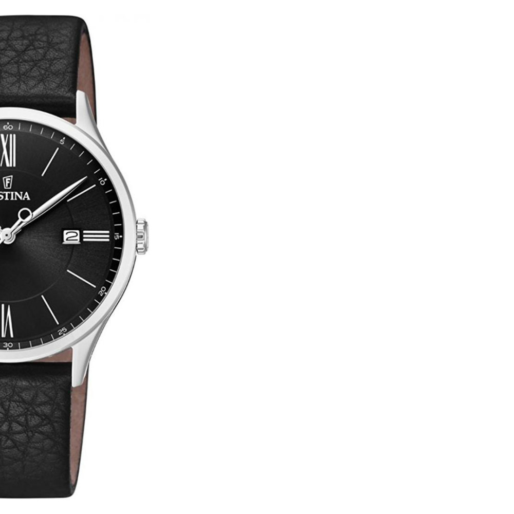 Festina CLASSIC F169784 6