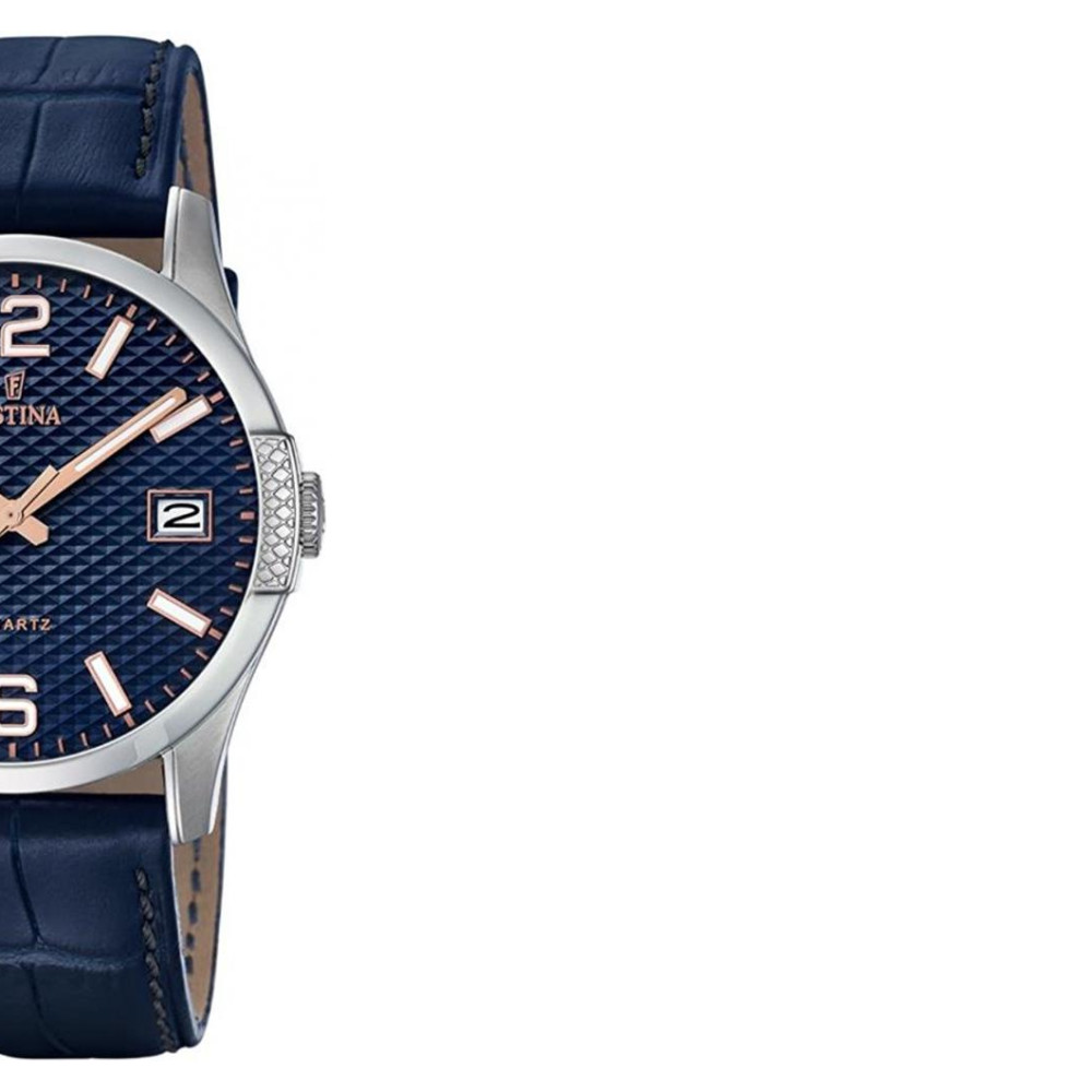 Festina CLASSIC F169824 6