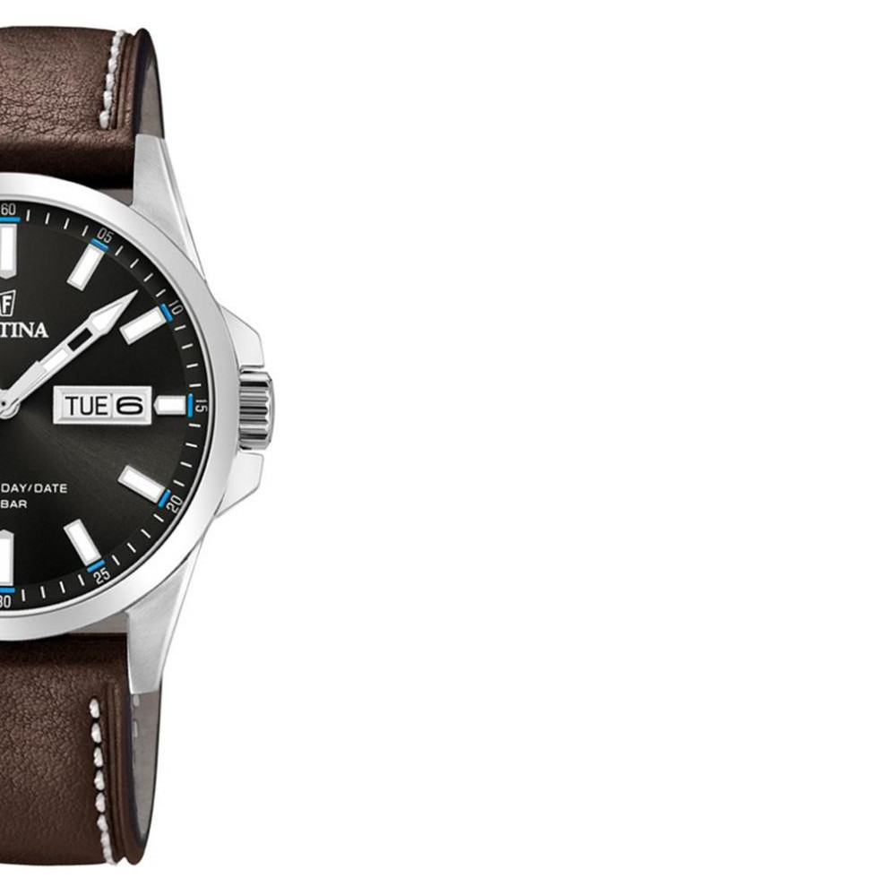 Festina CLASSIC F203581 6