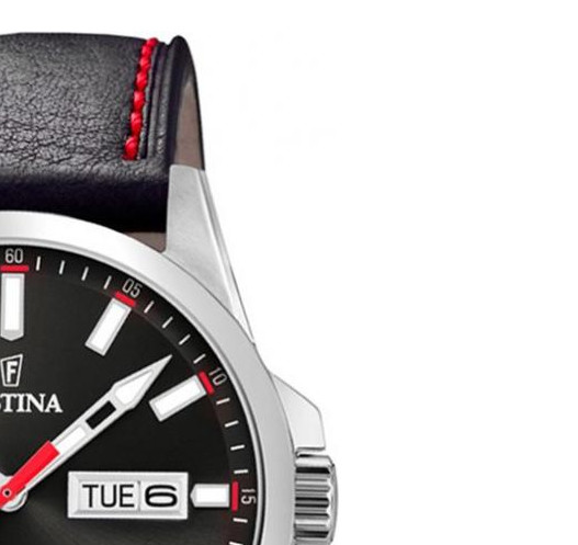 Festina CLASSIC F203584 5