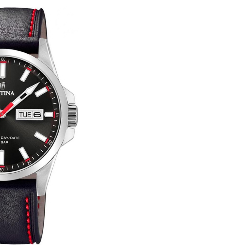 Festina CLASSIC F203584 6