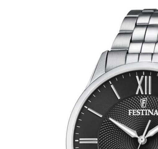 Festina CLASSIC F204253 4