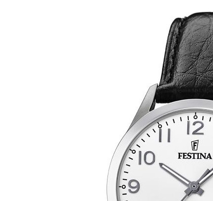 Festina CLASSIC F204691 4