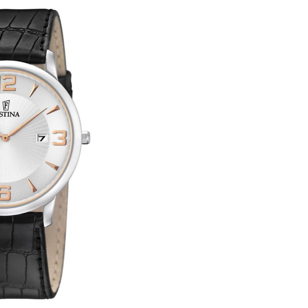 Festina CLASSIC F68063 6