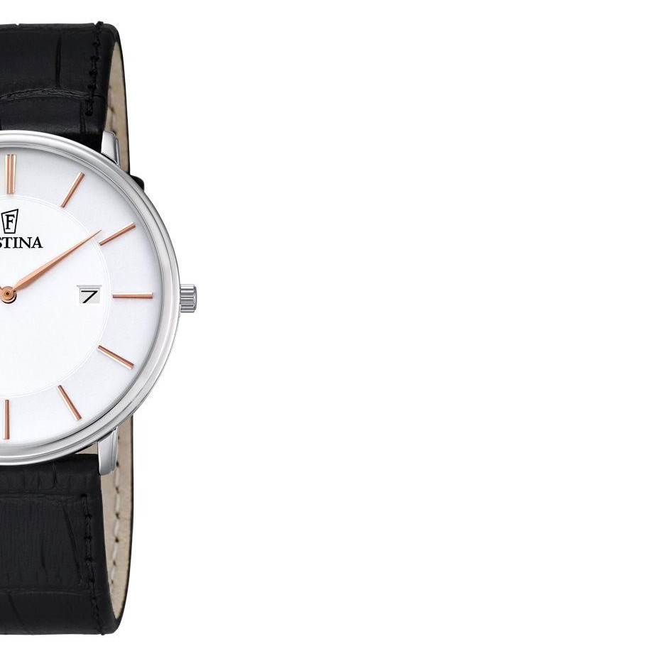 Festina CLASSIC F68393 6