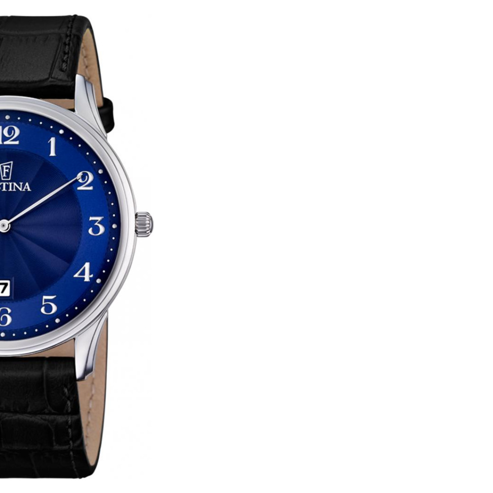 Festina CLASSIC F68513 6