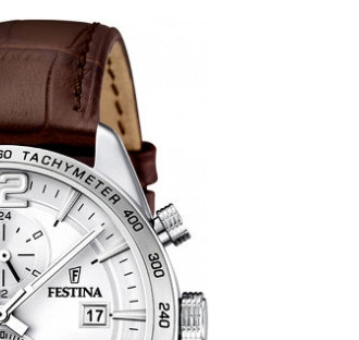 Festina Chrono 167601 5