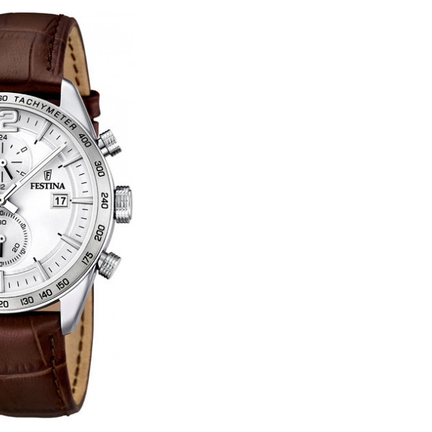 Festina Chrono 167601 6