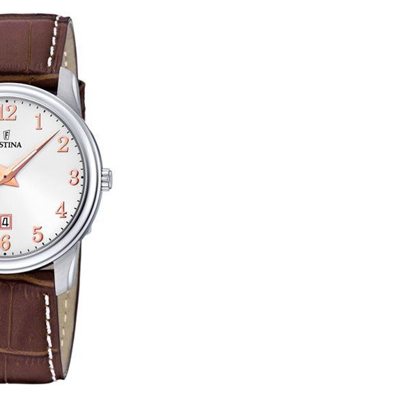 Festina Classic 163803 6