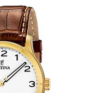 Festina Classic 164521 5